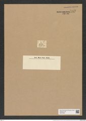 Eunotogramma amphioxys Ehr. (de-Toni-Nr.: Genus 128, Species 3568) Zeichnungen Sammlung Grunow Nr. 7055 (NHMW-BOT-W0375993)